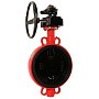 Затворы чугунные дисковые DN 50-300 PN 16 межфланцевые с концевиками и чугунным диском с редуктором РАШВОРК купить в Нижнем Новгороде | "Проконсим"