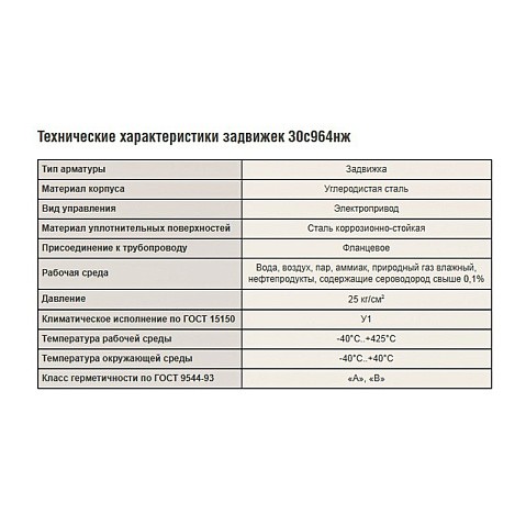 Задвижка стальная 30с964нж DN 600 PN 25 фланцевая под привод тип Г, класс ''А'' L=800мм САЗ АВАНГАРД купить в Нижнем Новгороде | "Проконсим"