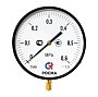 Манометр Росма ТМ-810Р.00 котловый, 250мм, 0-60кгс/см2, резьба M20x1,5, радиальный, класс точности 1,5 купить в Нижнем Новгороде | "Проконсим"