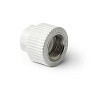 Муфта комбинированная ПП 32-1'' PN 25 с внутренней резьбой белая Pro Aqua PA22018P