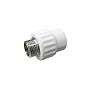 Муфта комбинированная ПП 20-1/2'' PN 25 с наружной резьбой белая VALFEX Pro купить в Нижнем Новгороде | "Проконсим"