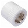 Муфта комбинированная ПП 50-1 1/2'' PN 25 под ключ с внутренней резьбой белая РТП 10659 купить в Нижнем Новгороде | "Проконсим"