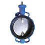 Затворы поворотные дисковые DN 200-800 PN 16 межфланцевые с голым штоком Seagull купить в Нижнем Новгороде | "Проконсим"