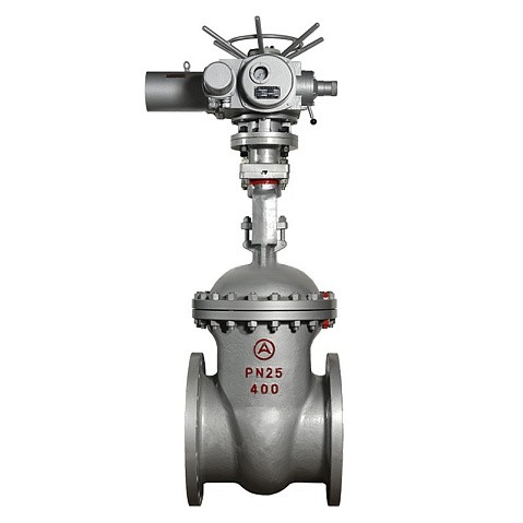 Задвижка стальная 30с964нж DN 600 PN 25 фланцевая под привод тип Г, класс ''А'' L=800мм САЗ АВАНГАРД купить в Нижнем Новгороде | "Проконсим"