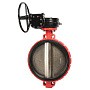 Затворы поворотные дисковые DN 300-600 PN 16 межфланцевые с чугунным диском с редуктором Рашворк 200 купить в Нижнем Новгороде | "Проконсим"
