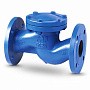 Клапан обратный подъемный фланцевый FAF 2250, DN 100, PN 16 корпус-чугун, диск-нержавеющаясталь, уплотнение-нержавеющая сталь купить в Нижнем Новгороде | "Проконсим"