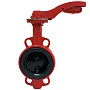 Затворы чугунные дисковые DN 50-300 PN 16 с электроприводом 220В и чугунным диском РАШВОРК купить в Нижнем Новгороде | "Проконсим"