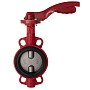 Затворы поворотные дисковые DN 40-250 PN 16 межфланцевые с чугунным диском рычаг Рашворк 200 купить в Нижнем Новгороде | "Проконсим"