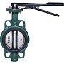 Затворы чугунные дисковые DN 40-250 PN 16 межфланцевые с чугунным диском рычаг GALA Тип.2302H-L купить в Нижнем Новгороде | "Проконсим"