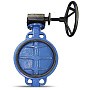 Затворы поворотные дисковые DN 350-600 PN 16 межфланцевые с чугунным диском с редуктором FAF купить в Нижнем Новгороде | "Проконсим"